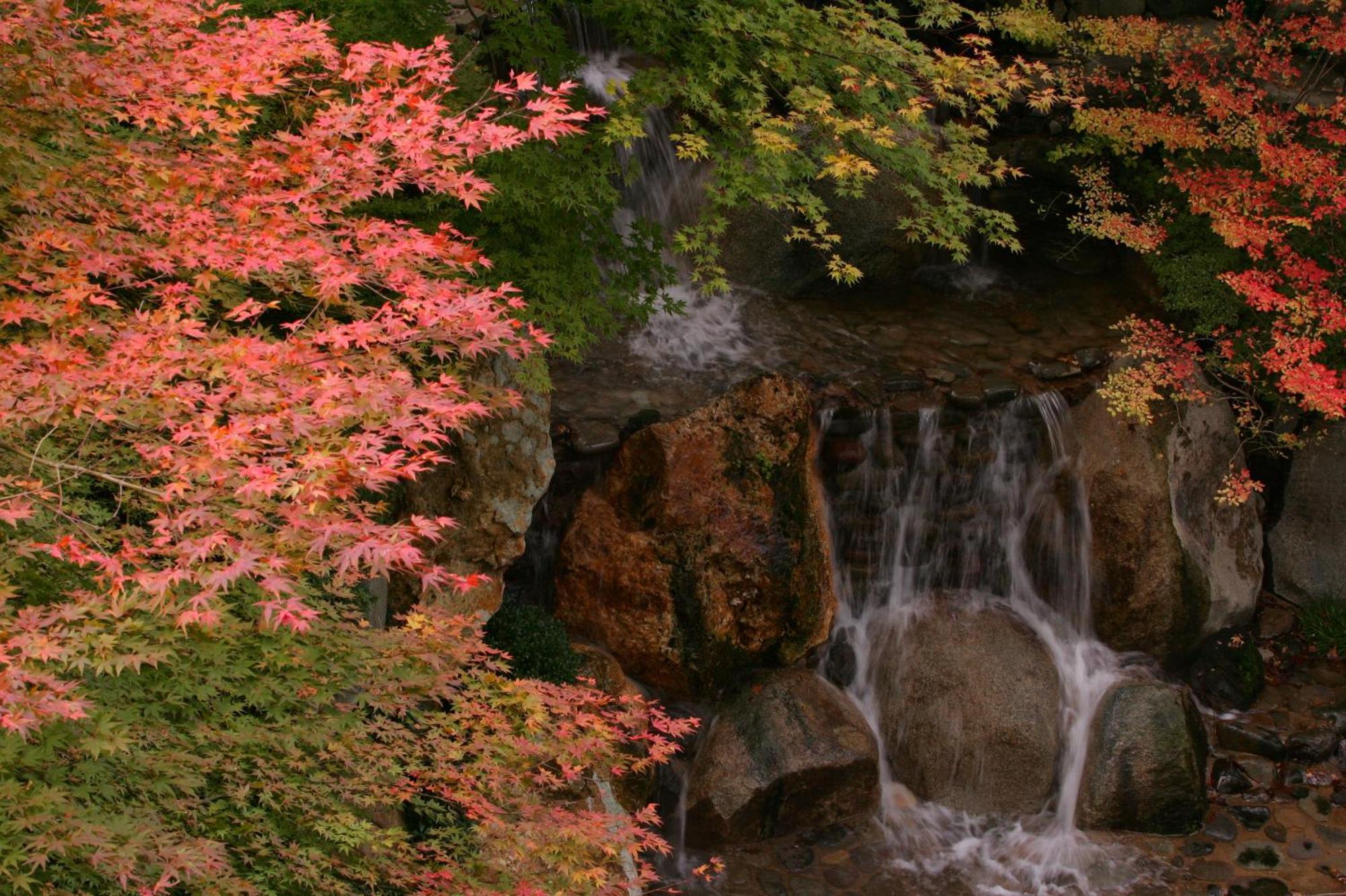 Sakan Sendai Exteriér fotografie
