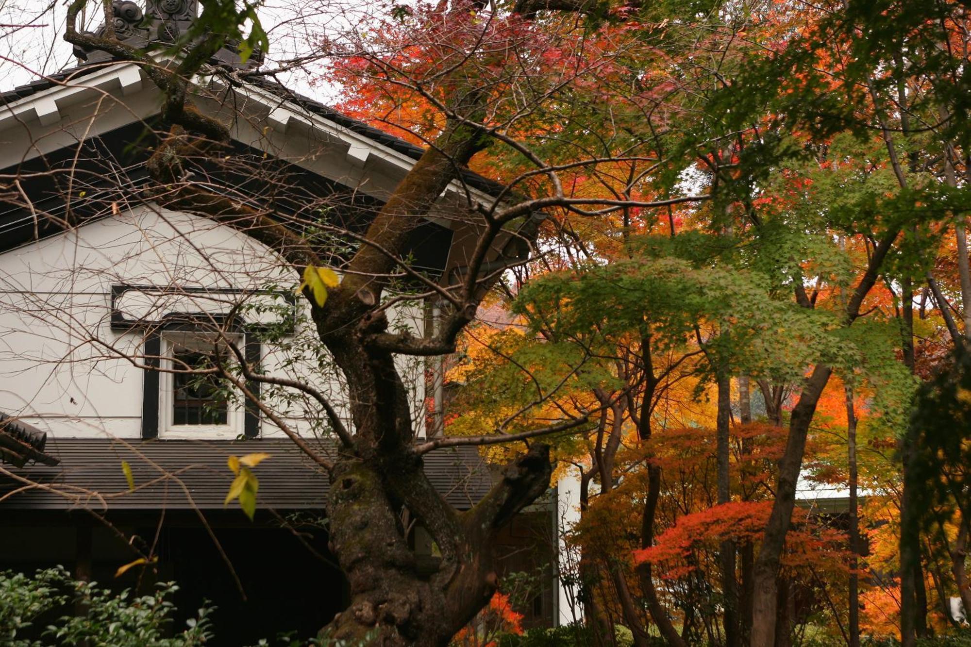 Sakan Sendai Exteriér fotografie